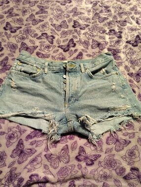 Agolde Light Blue Distressed Cutoff Denim Shorts